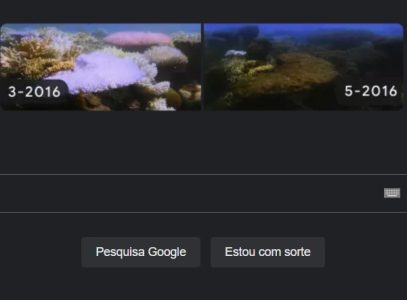 Dia da Terra
