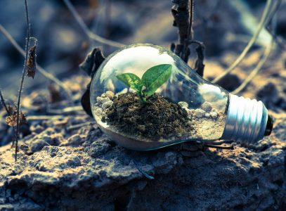 Dia da Terra: um lembrete sobre nosso papel no cuidado com o planeta